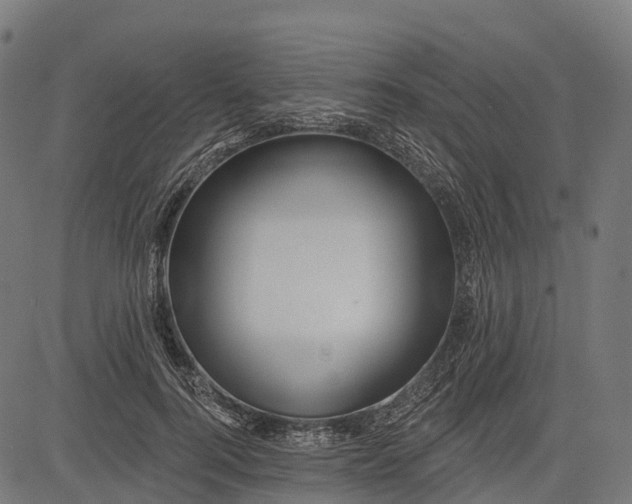 X0000084520744200703091601