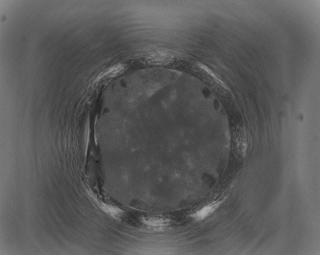 X0000084520745200703091601