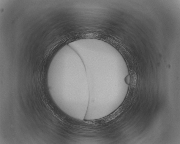 X0000084520746200703091601