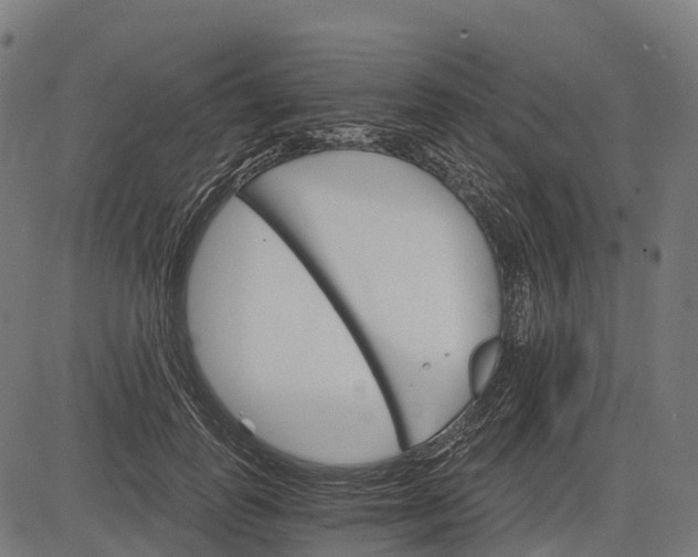 X0000084520747200703091601