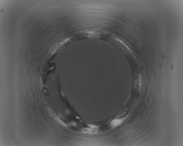 X0000084520748200703091602