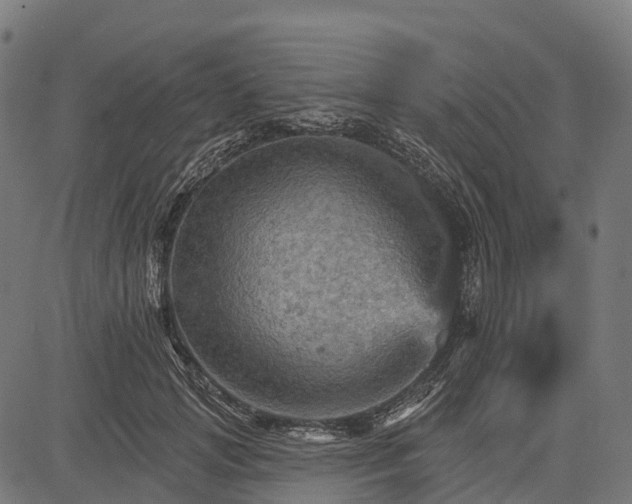 X0000084520749200703091602