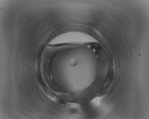 X0000084520750200703091602