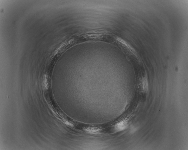 X0000084520751200703091602