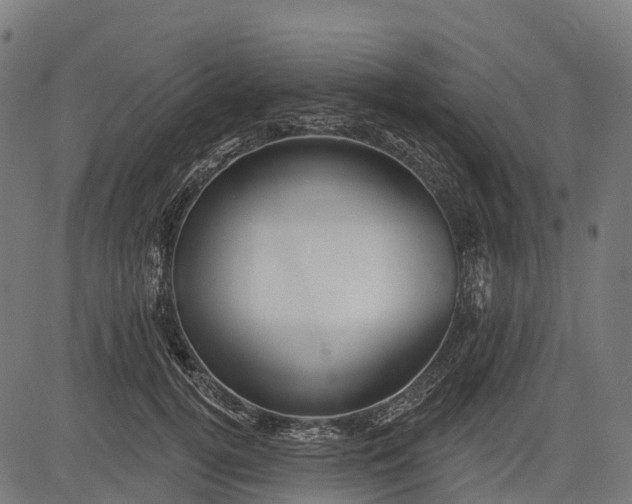 X0000084520752200703091602