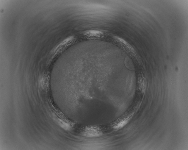 X0000084520753200703091602