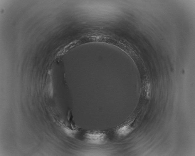 X0000084520754200703091602