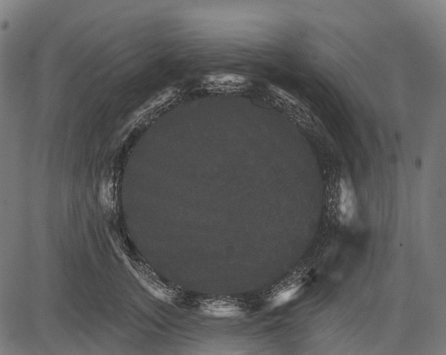 X0000084520755200703091602