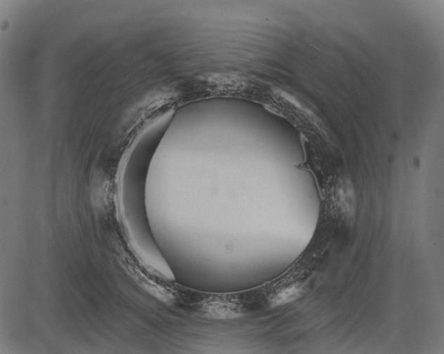 X0000084520756200703091602