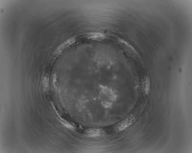 X0000084520757200703091602