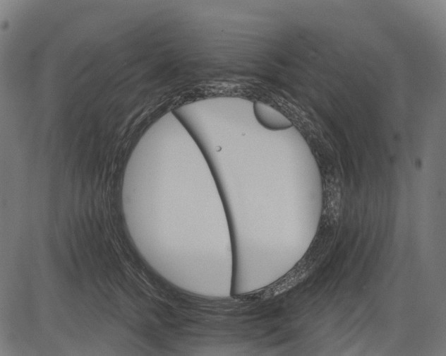 X0000084520758200703091602