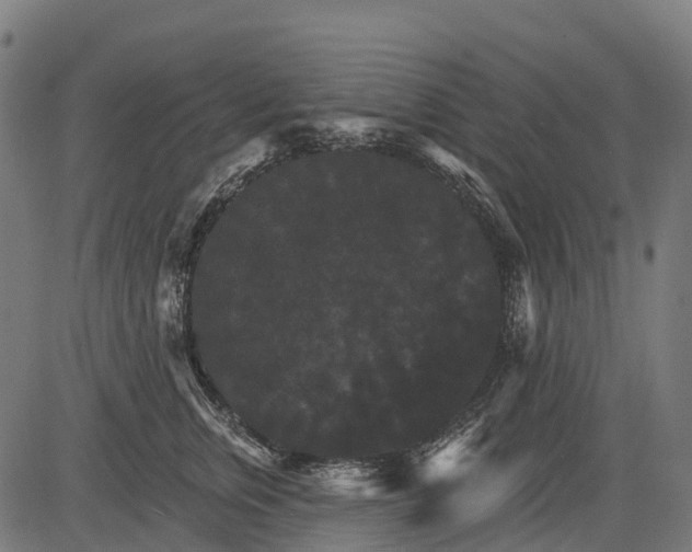 X0000084520759200703091602