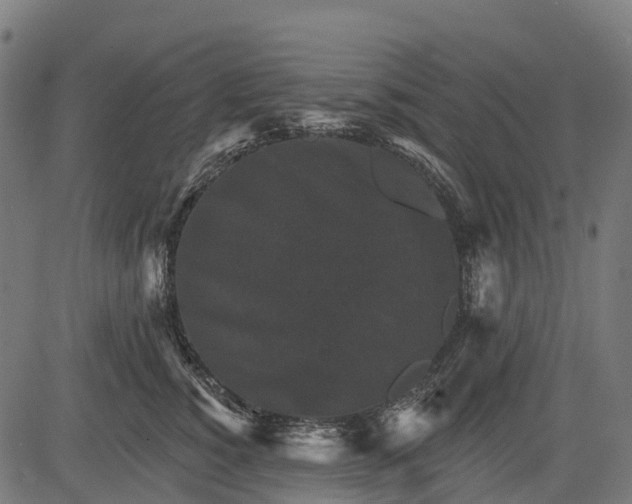 X0000084520760200703091602