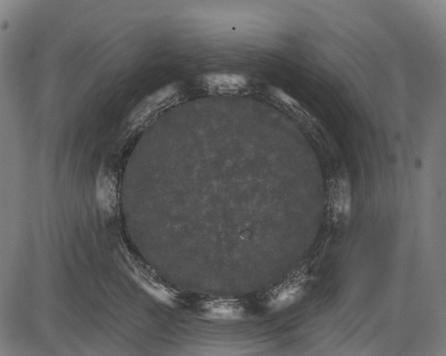 X0000084520761200703091602