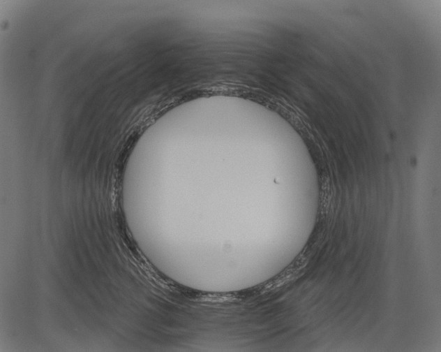 X0000084520762200703091602