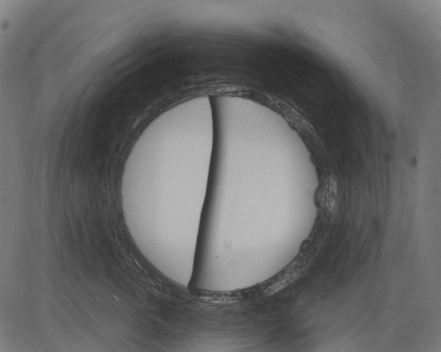 X0000084520763200703091602