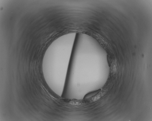 X0000084520764200703091602