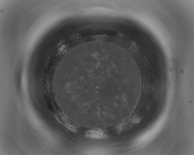 X0000084520765200703091602