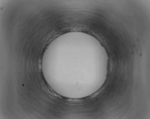 X0000084520766200703091602