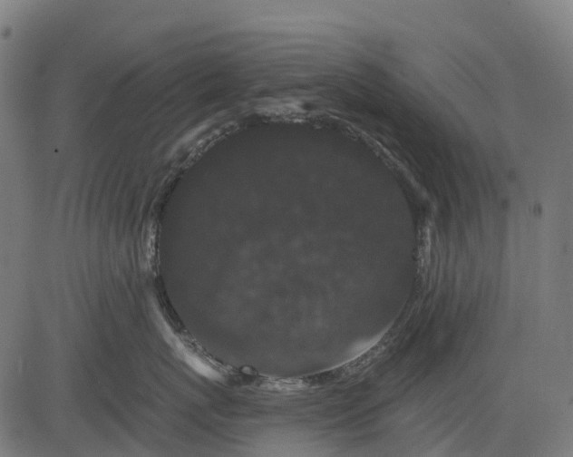 X0000084520767200703091602