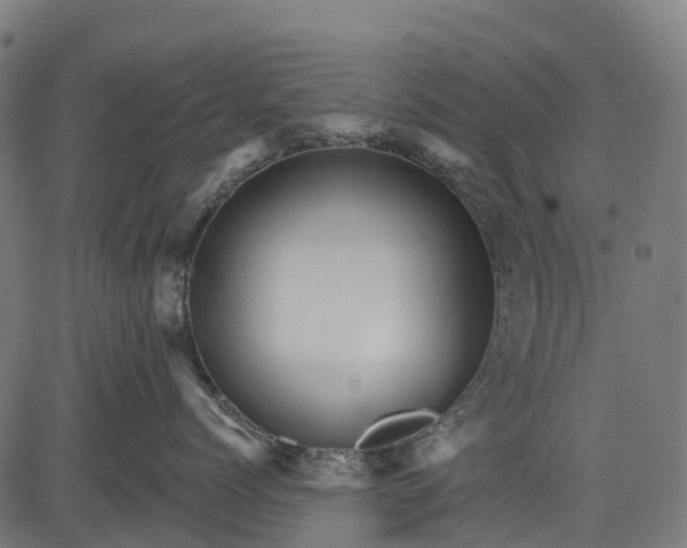 X0000084520768200703091602