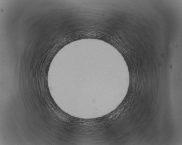 X0000084520769200703091601