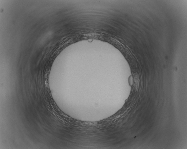 X0000084520770200703091601