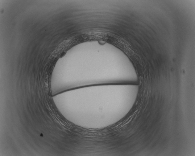 X0000084520771200703091601