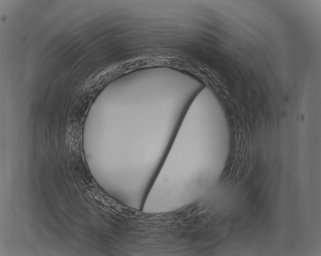 X0000084520773200703091601