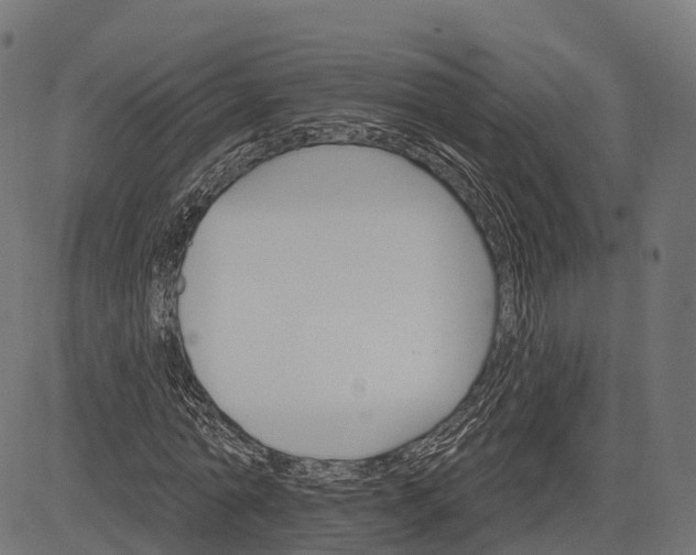 X0000084520774200703091601