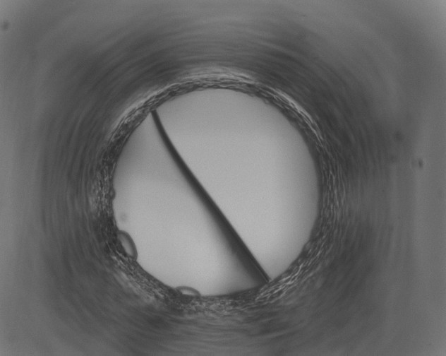 X0000084520775200703091601