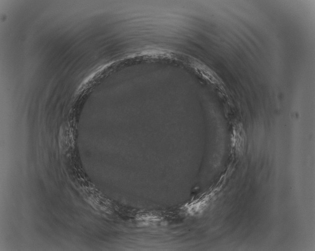 X0000084520776200703091601