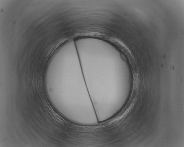 X0000084520777200703091601