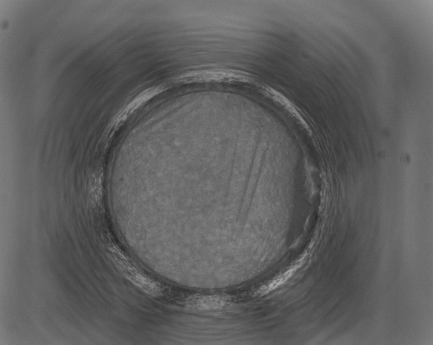 X0000084520778200703091601