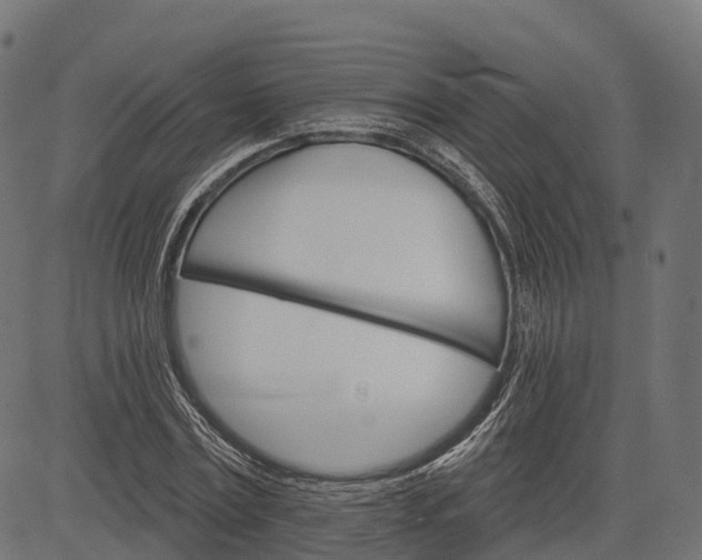 X0000084520779200703091601