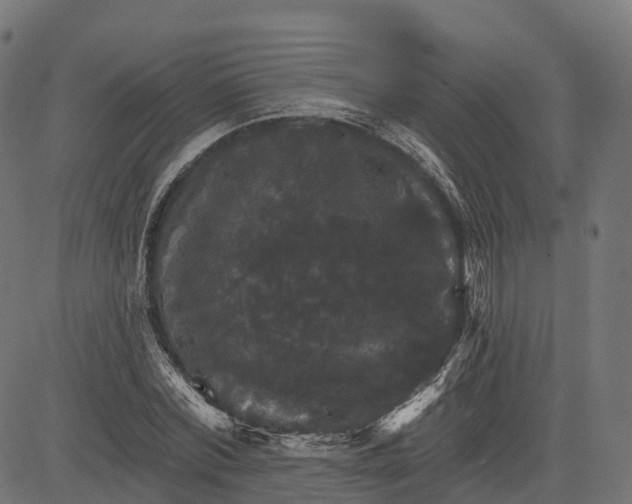 X0000084520780200703091601