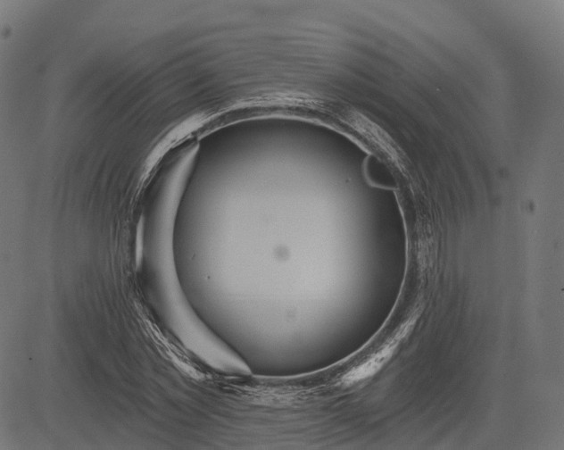 X0000084520781200703091601