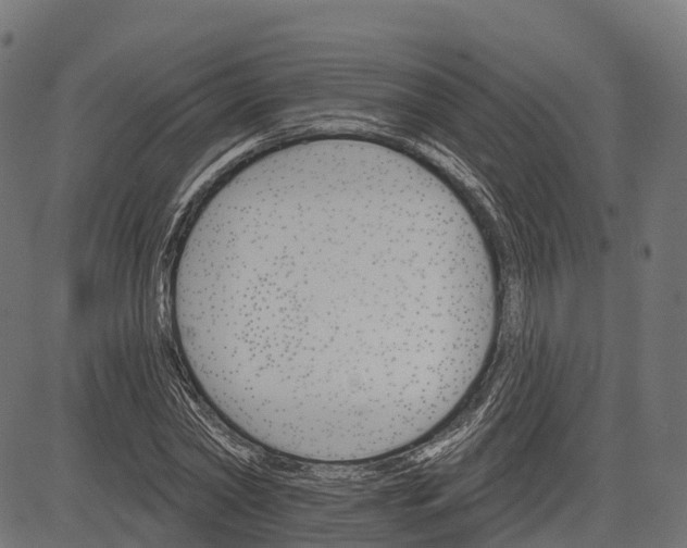 X0000084520782200703091601