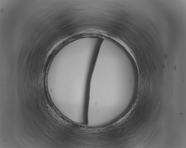 X0000084520783200703091601