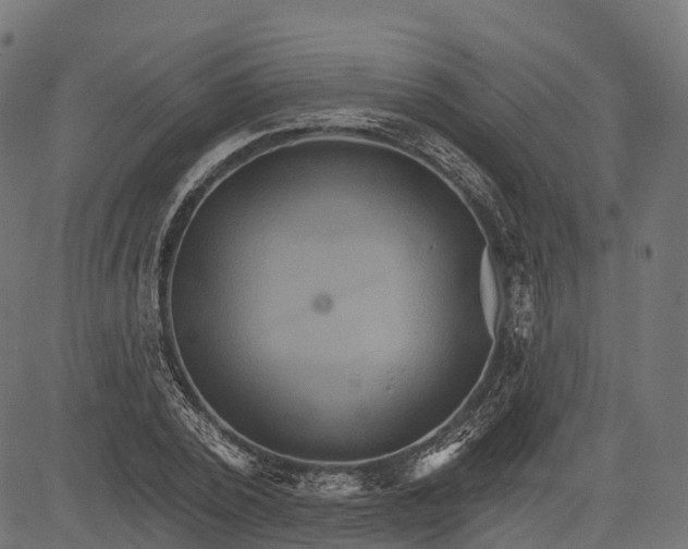 X0000084520784200703091601