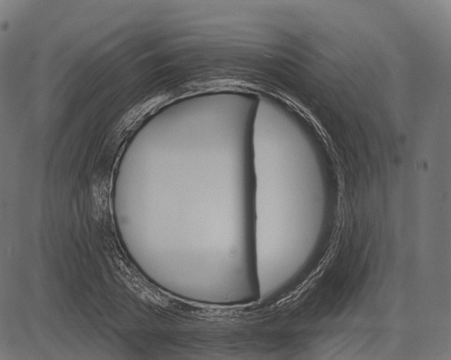 X0000084520785200703091601