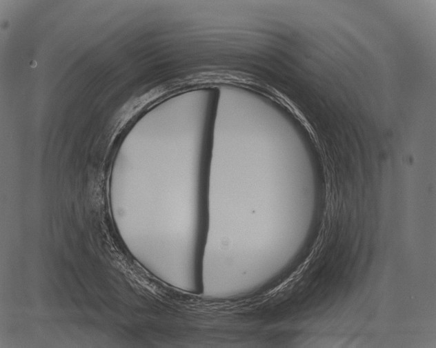 X0000084520786200703091601