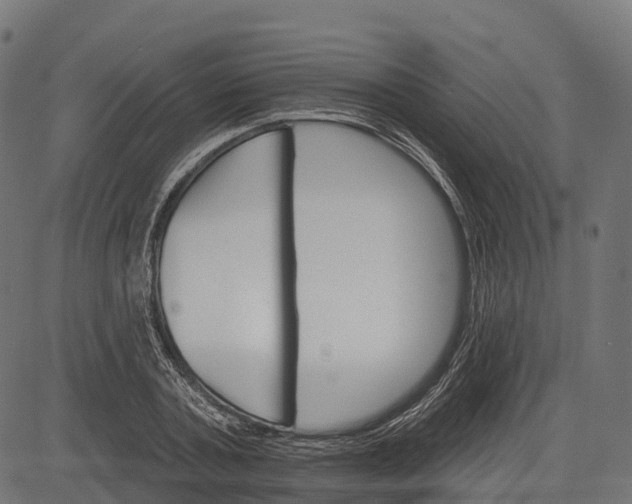 X0000084520787200703091601