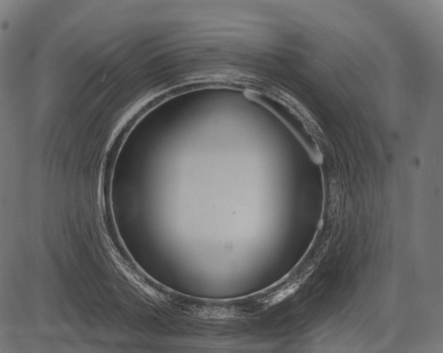 X0000084520788200703091601