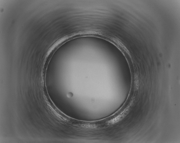 X0000084520789200703091601