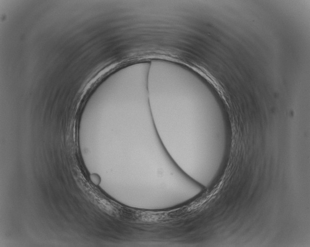 X0000084520790200703091601