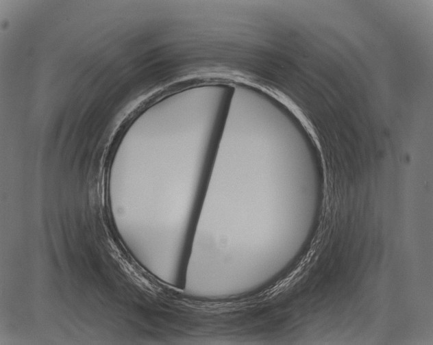 X0000084520791200703091601