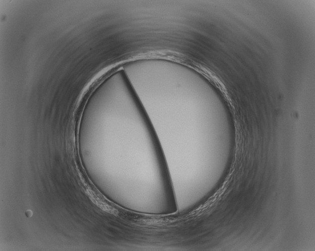 X0000084520792200703091601