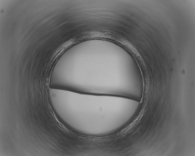 X0000084520793200703091601