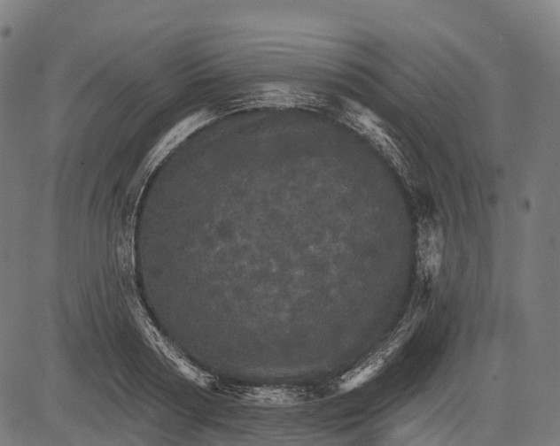 X0000084520794200703091601